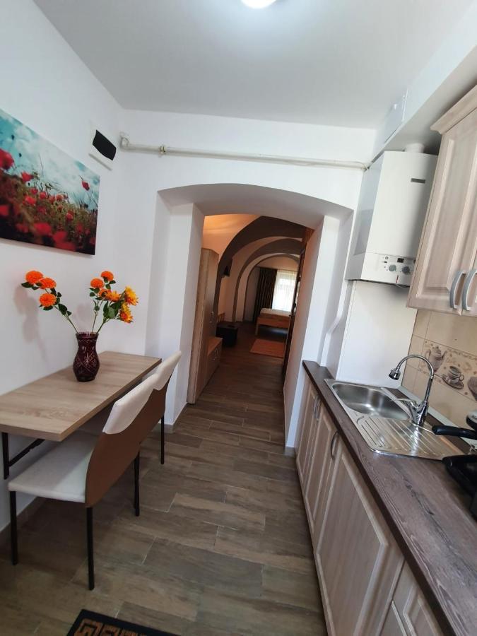 Radu Apartament Apartment Sibiu Ngoại thất bức ảnh