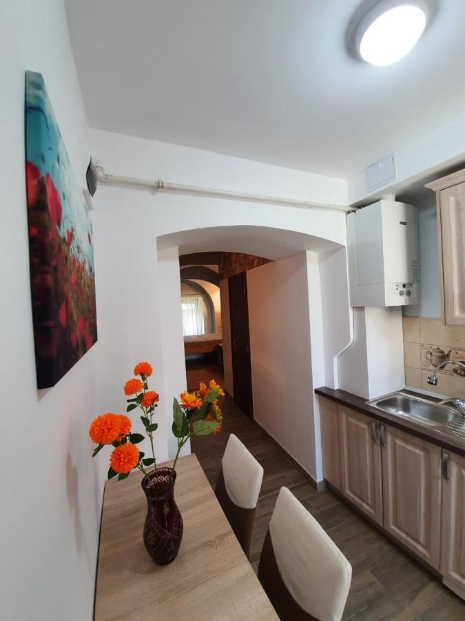 Radu Apartament Apartment Sibiu Ngoại thất bức ảnh